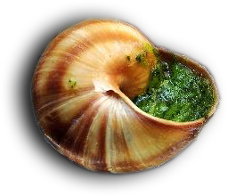 Coquilles d’escargot à la Bourguignonne